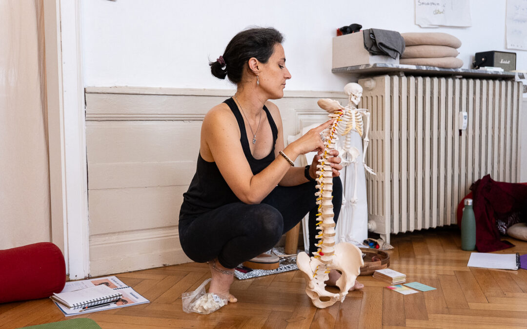 L’anatomie : un atout pour enseigner le yoga