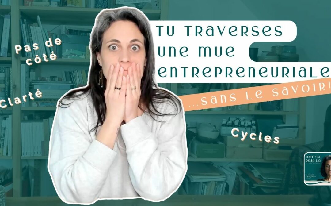 92 – Mue entrepreneuriale : quand l&rsquo;ancien ne suffit plus